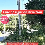 Line of Sight Obstruction at 9 Mason Ave, North Billerica